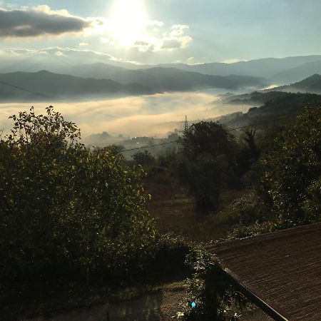 Il Mugello B&B Vicchio Buitenkant foto