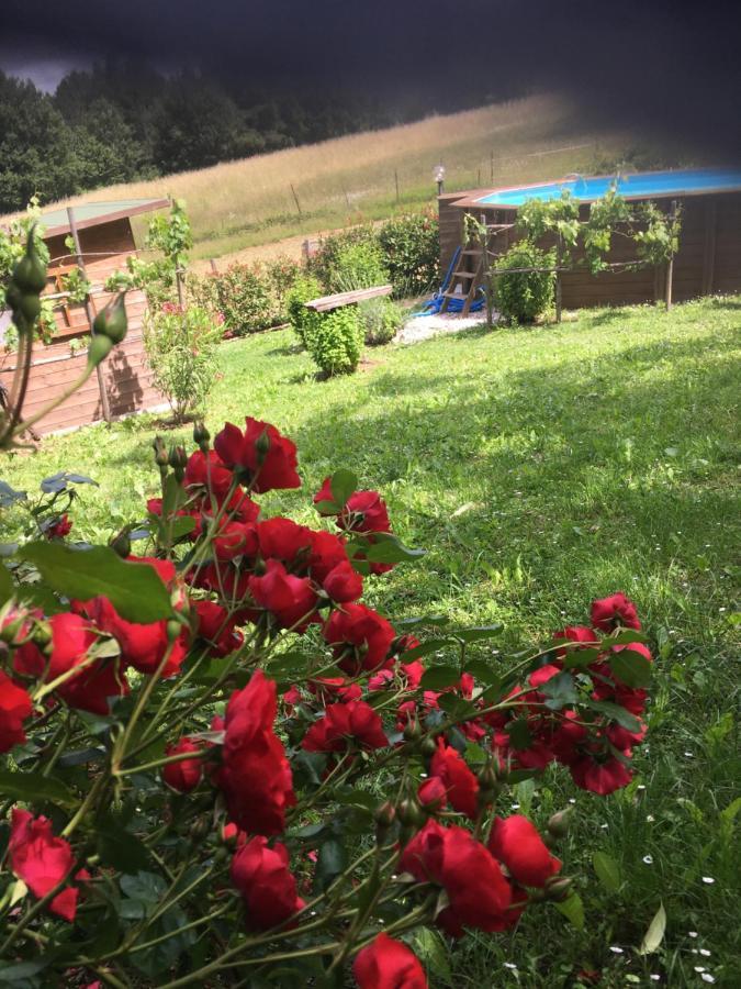 Il Mugello B&B Vicchio Buitenkant foto