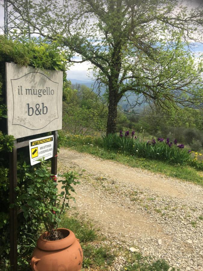 Il Mugello B&B Vicchio Buitenkant foto