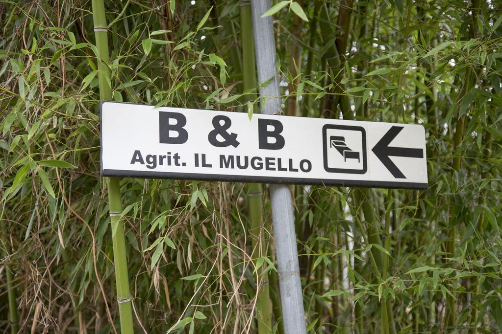 Il Mugello B&B Vicchio Buitenkant foto