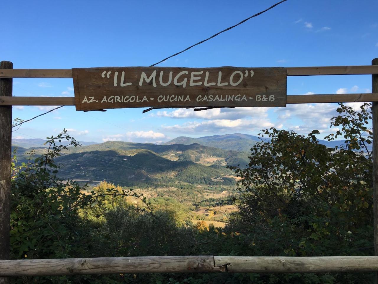 Il Mugello B&B Vicchio Buitenkant foto