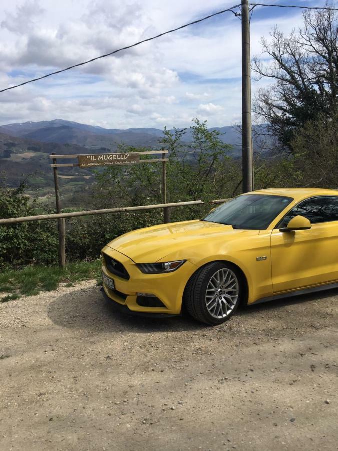 Il Mugello B&B Vicchio Buitenkant foto