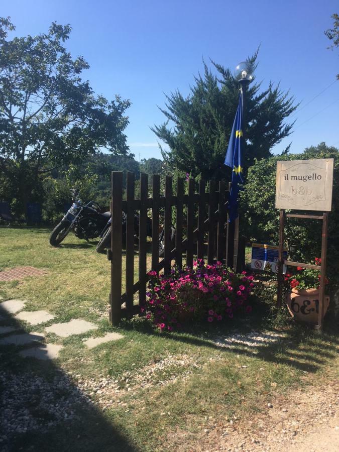 Il Mugello B&B Vicchio Buitenkant foto